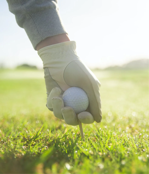 Landing-Page-Row-2-1